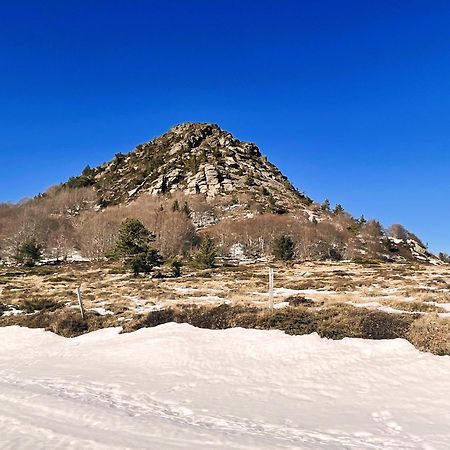 Gite De La Cigale Burzet ภายนอก รูปภาพ